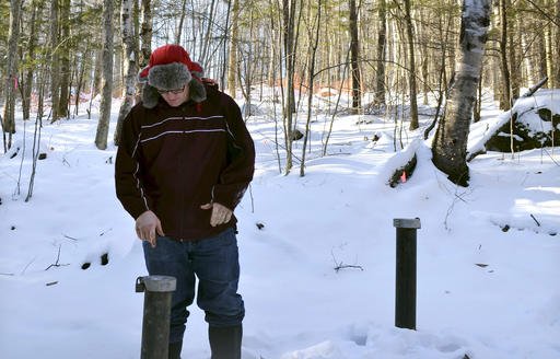 In this Friday, Dec. 16, 2016 photo, Richard Higgins, whose family's well water has been contaminated by a suspected carcinogen from a Dartmouth dump site, looks down at one of many test wells installed to monitor the groundwater in Hanover, N.H. Dartmouth College said it has spent around $8.4 million cleaning up contamination where scientists dumped carcasses of lab animals in the 1960s and 1970s. 