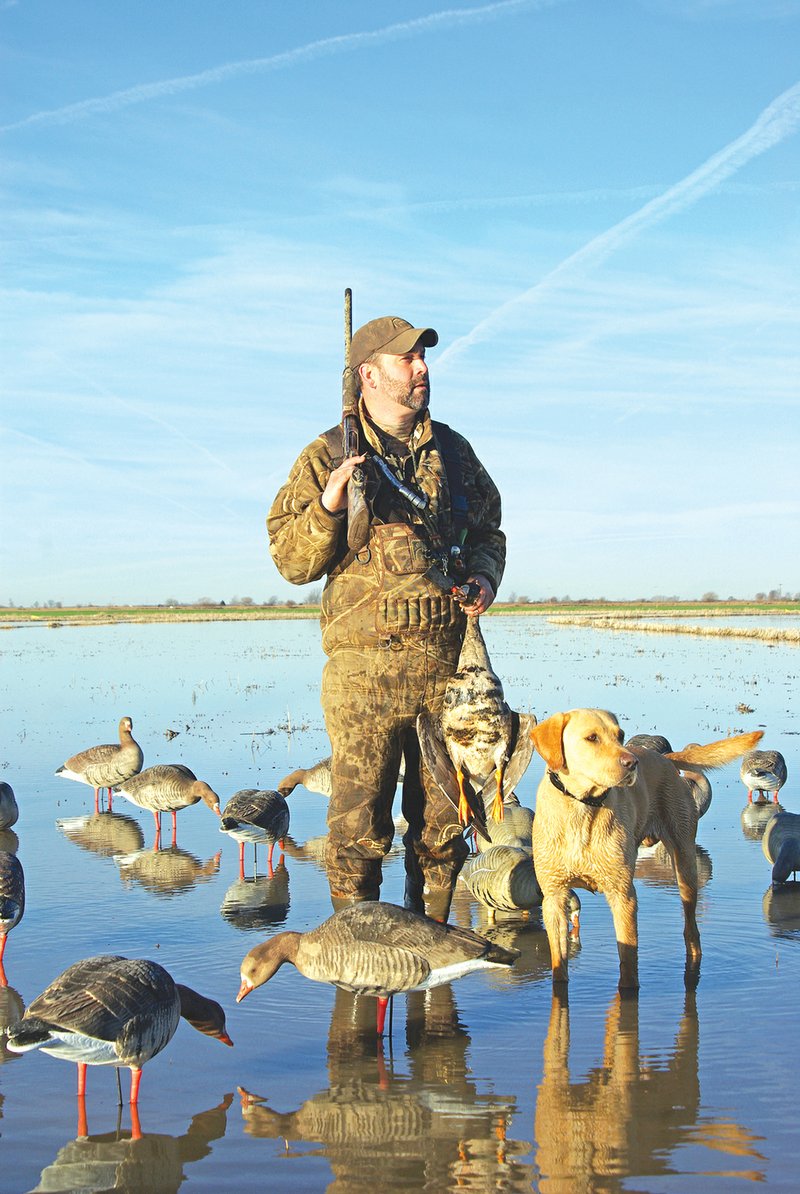 Mike Checkett of Wildwood, Mo., bagged this white-fronted goose while hunting near Stuttgart. A successful hunt for this delicious gamebird usually requires a lot of preseason planning and preparation.