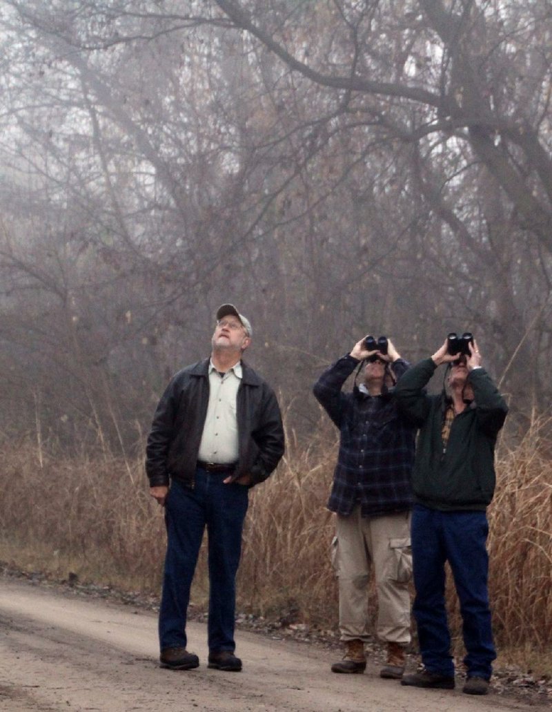 (From left) Jim Nieting, Fillmore Dryden and Bill Beall identify their first bird by sight during the foggy Dec. 17 Christmas Bird Count in the 15-mile Fort Smith counting circle.
