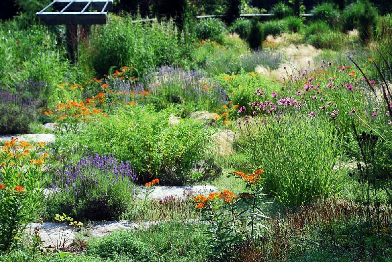 In the Gravel Garden at Chanticleer Garden in Wayne, Pa., summer brings coneflowers, lavender and milkweed.