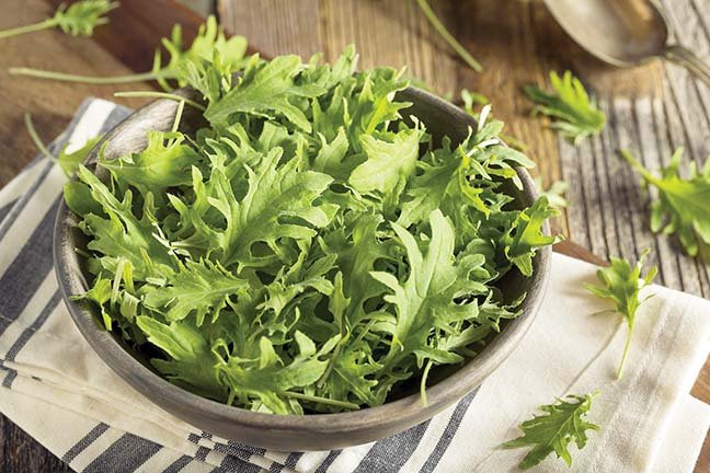 Baby kale leaves are tender and mild, perfect for a salad.