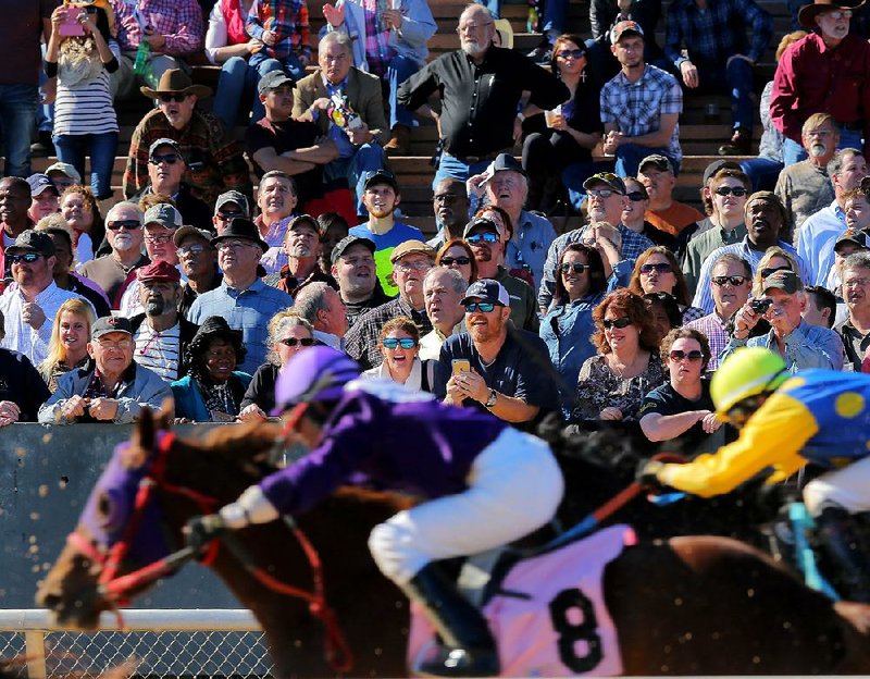 The horses will kick up the dust at Oaklawn’s opening day, with post time starting at 12:30 p.m. Friday. 