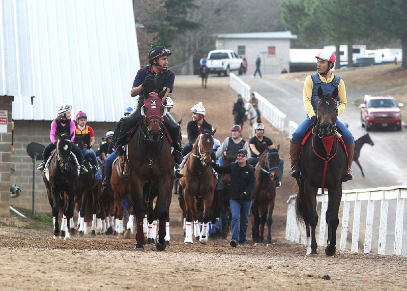 Exercise riders leave the stable area and head to the racing track at Oaklawn Park in Hot Springs on Friday. According to the National Weather Service, a chance of rain is expected in the area today when the racing season officially begins. Nine races are slated to take place, including the $125,000 Fifth Season Stakes.