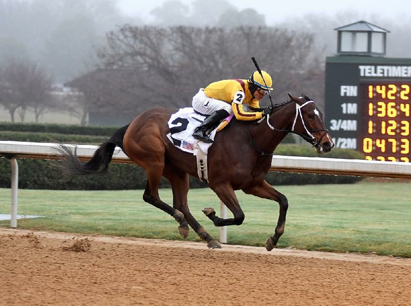 Jose L. Ortiz rides Terra Promessa (2) to the finish to win the Pippin Stakes at Oaklawn Park in Hot Springs on Saturday. Terra Promessa won the 1 1/16-mile race by 2¼ lengths over Ready to Confess and paid $4.60 to win, $3.60 to place and $2.60 to show. 