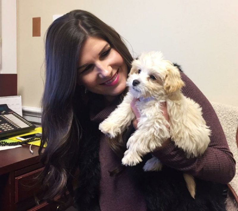 Courtney Handey holds Brady, a Maltipoo puppy that greets constituents in U.S. Rep. Rick Crawford’s Capitol Hill office.
