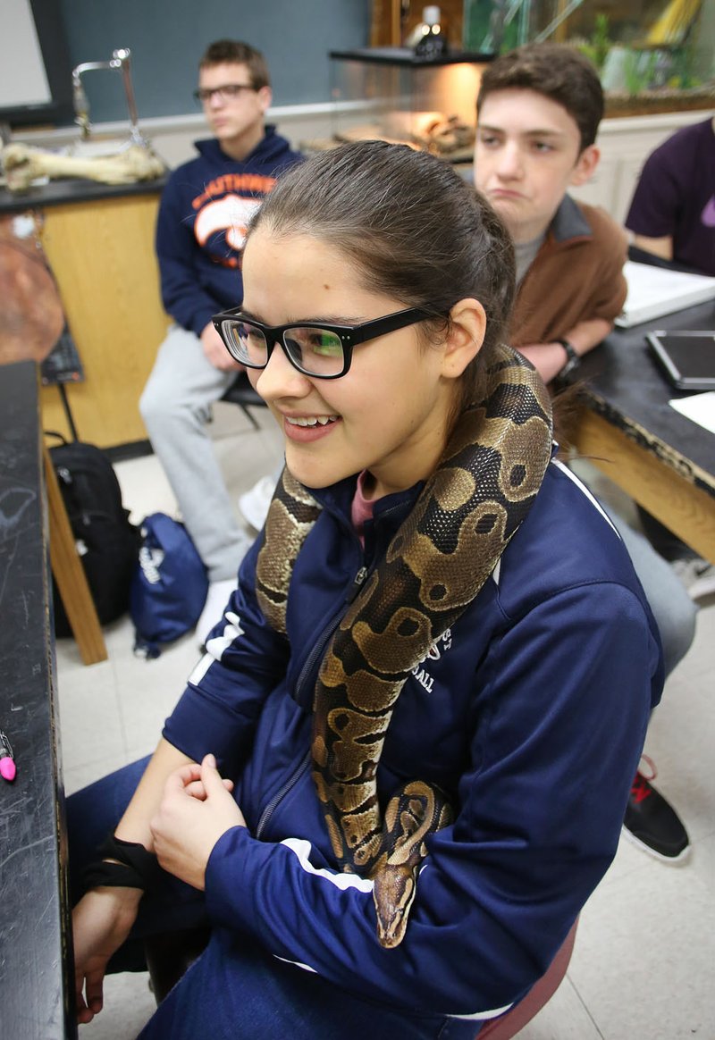 Magdalena Macias, a freshman at Southwest Junior High School, holds Shelly, a ball python, Friday in Josh Granderson’s biology class at the Springdale school. Central and Southwest junior high schools both received recognition from the Arkansas Department of Education for ranking in the top 10 percent of schools for student growth, based on results from the ACT Aspire given last spring.