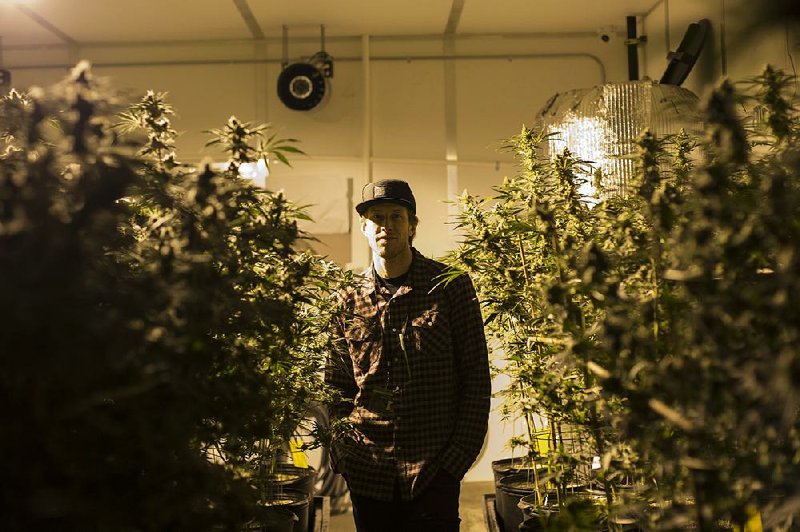 Brian Lade, owner of Smokey Point Productions, stands inside a marijuana grow room last week at the company’s farm in Arlington, Wash. As prices fall, growers are looking to cut costs. 