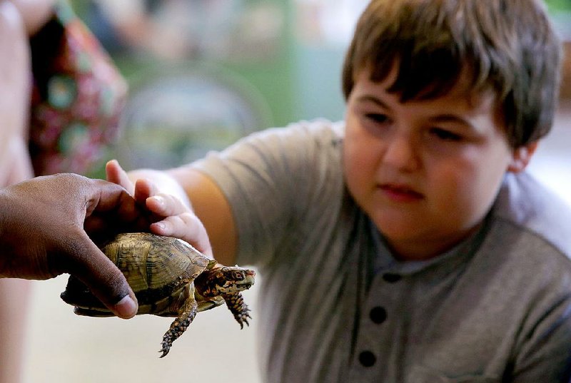 Austin Hamilton of Bryant meets a turtle at the Witt Stephens Jr. Central Arkansas Nature Center. With resident fish and other wildlife, programs, tours and workshops, the center encourages Arkansans of all ages to “find their outside.” 