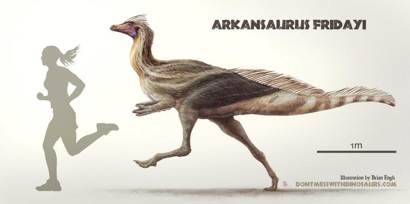 Artist Brian Engh rendered the Arkansaurus fridayi for ReBecca Hunt-Foster, the paleontologist trying to get the dinosaur officially recognized as a distinct type. 
