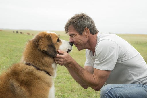 This image released by Universal Pictures shows Dennis Quaid with a dog, voiced by Josh Gad, in a scene from "A Dog's Purpose." 