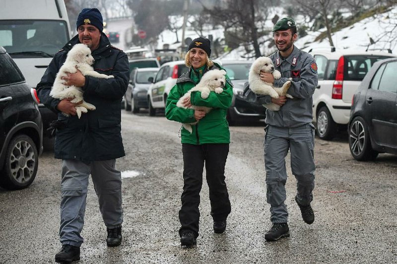 Police officers hold three puppies that were found alive Monday in the rubble left by an avalanche that hit the Hotel Rigopiano near Farindola, Italy.