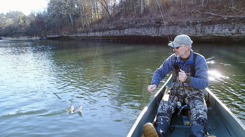 Bruce Darr catches a rainbow trout Dec. 30 from the White River below Beaver Dam. Darr serves on the state council of Trout Unlimited.