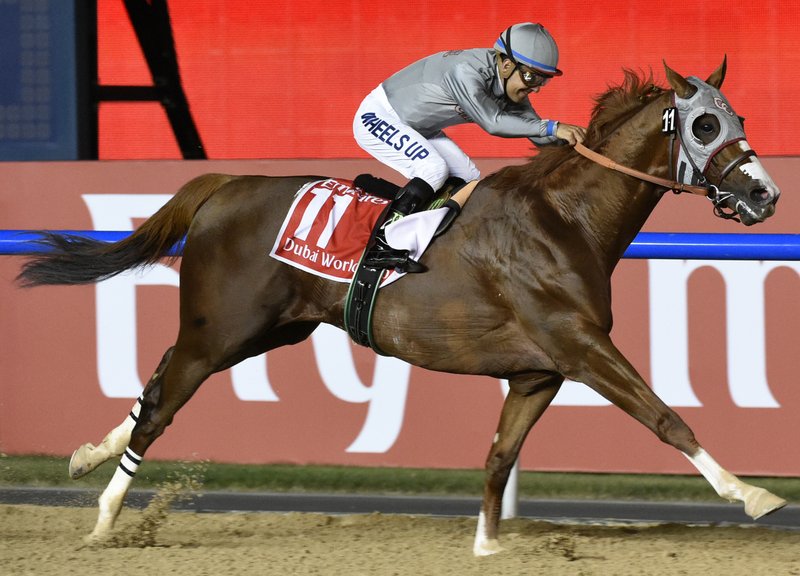 The Associated Press "CHROME" FAVORITE: In this file photo, California Chrome, ridden by Victor Espinoza, wins the Dubai World Cup horse race at Meydan Racecourse in Dubai, United Arab Emirates. California Chrome was the biggest winner at the Eclipse Awards on Saturday night taking home three trophies celebrating his accomplishments in 2016 - including Horse of the Year for the second time. He also won an Eclipse as the best in the older dirt male division, and his victory at the Dubai World Cup was picked as the National Thoroughbred Racing Association's moment of the year.