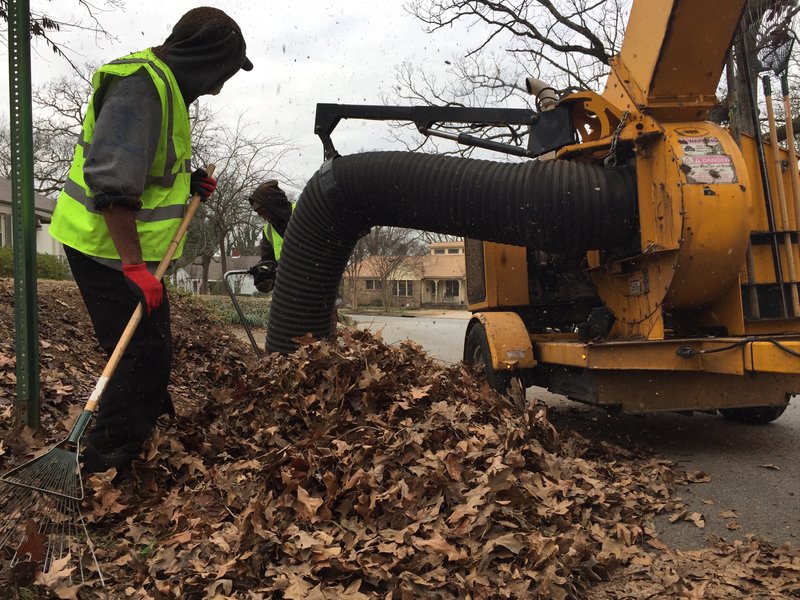 A North Little Rock sanitation department employee rakes leaves to be sucked up by a large hose into a leaf truck and carted away from city streets.