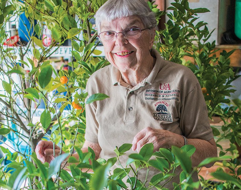Darlene McGuire of the Moreland community in Pope County is the 2016 Pope County Master Gardener of the Year. She is shown here with the lemon and orange trees she is wintering in her garage. Originally from Minnesota, she joined the Master Gardeners 18 years ago to learn what, and when, to plant in Arkansas.