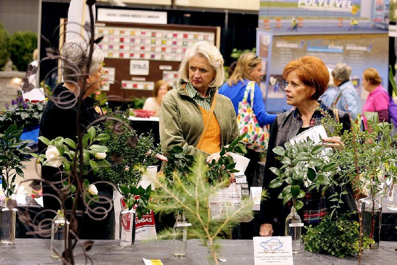 The theme of the Arkansas Federation of Garden Clubs’ advanced standard show in 2016 was “Dream, Design and Discover” — one small part of the 2016 Arkansas Flower and Garden Show.