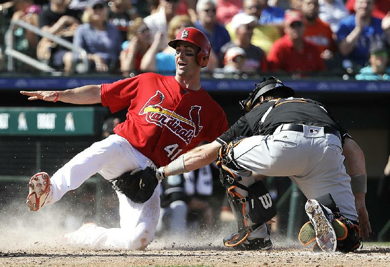 St. Louis Cardinals catcher Eric Fryer (41) slides home safely as Miami catcher A.J.Ellis applies a late tag. Fryer had reached on a triple, then scored on a sacrifice fly to right by Aledmas Diaz in the fourth inning of the Cardinals’ 7-4 exhibition victory.
