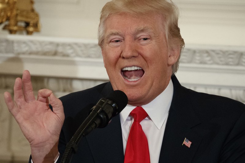 President Donald Trump speaks to a meeting of the National Governors Association,Monday, Feb. 27, 2017, at the White House in Washington. (AP Photo/Evan Vucci)
