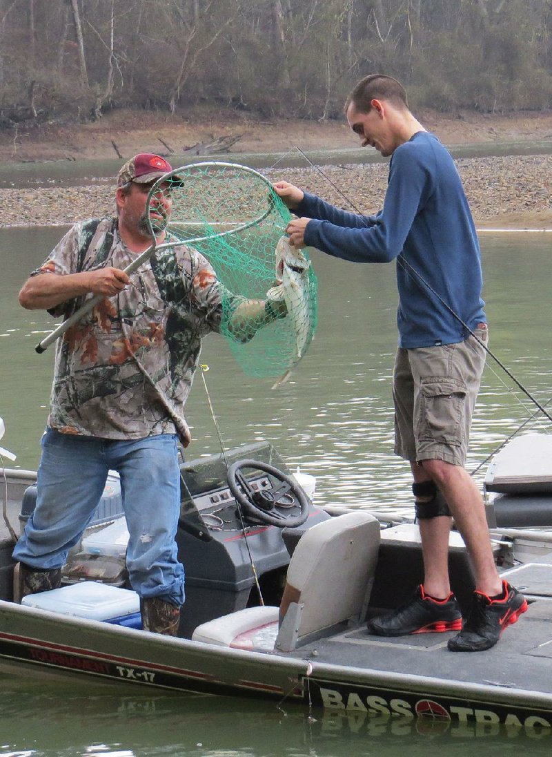 Kenny Davis (left) and Lane Davis of Pencil Bluff catch a walleye last week on the Ouachita River. It was Lane Davis’ first walleye.