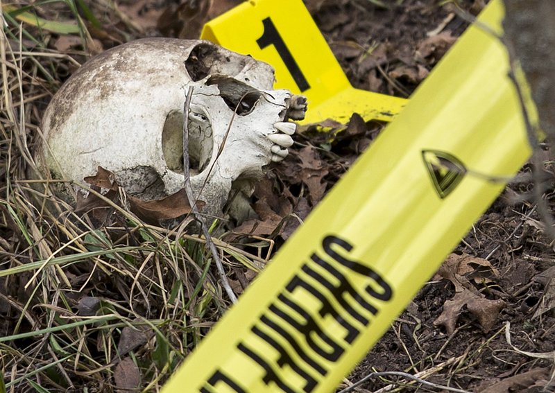 In this Feb. 6, 2015, file photo, an evidence marker sits next to a human skull as Davis County search and rescue members and crime scene investigators search a hillside, for more evidence in Fruit Heights, Utah. 
