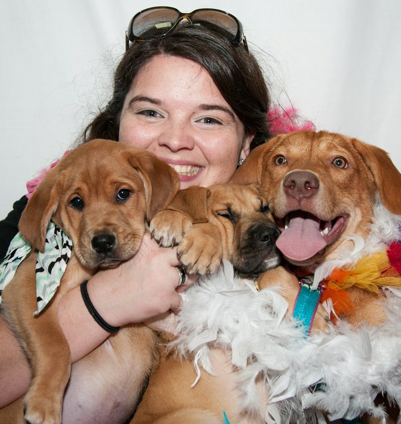 Rock City Rescue volunteer Melody Allensworth-James, who is usually behind the camera, poses in a photo-booth with three dogs she is fostering: Wolverine, Ironman and Bloomy.