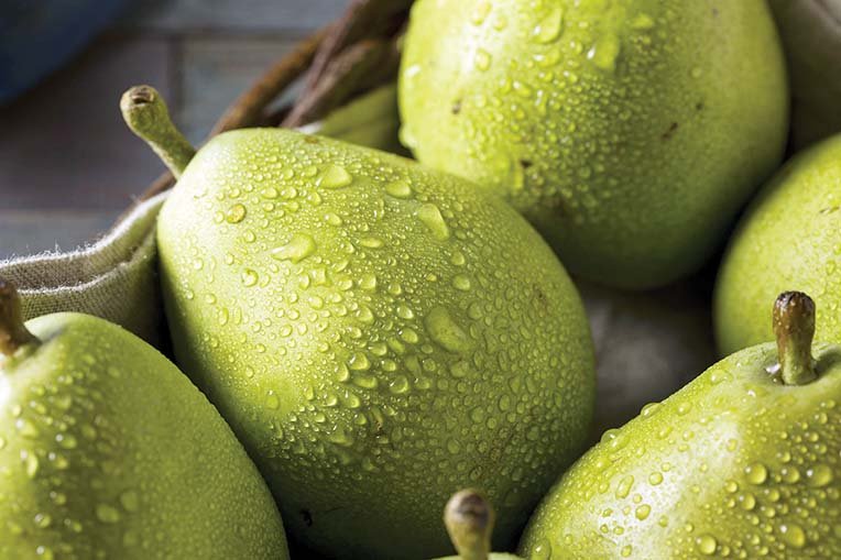 Green Anjou pears have a firm texture and a bright, almost lemony flavor.