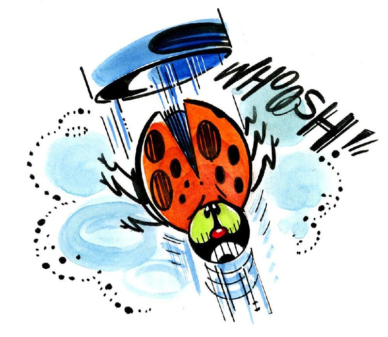 Arkansas Democrat-Gazette Ladybug Illustration 
