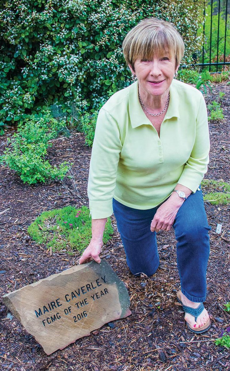 Maire Caverley of Mayflower is the 2016 Faulkner County Master Gardener of the Year. She worked on a variety of projects last year, accumulating 501.75 project hours and 66 education hours. She received this etched rock to denote her recent honor.
