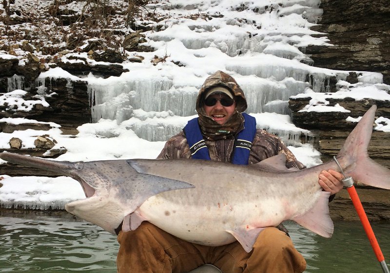 Jesse Wilkes of Springdale landed this 105-pound paddlefish in Beaver Lake in 2015. It’s one of the newest and largest record fish in the book.