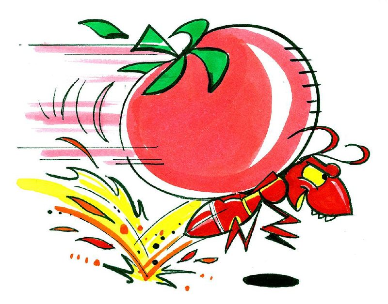 Arkansas Democrat-Gazettte Tomato Illustration 
