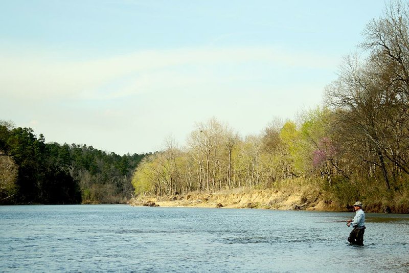 Early spring on a mountain stream is a bath of blue from the river and sky, redbud purple, green from pines and early rising hardwoods, and the gray of a forest still in winter slumber.