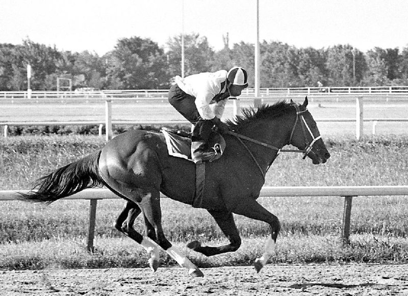 Triple Crown winner Secretariat gallops during a workout with exercise jockey George Davis in saddle at Arlington Park race track in Arlington Heights, Ill., Friday morning, June 29, 1973.   