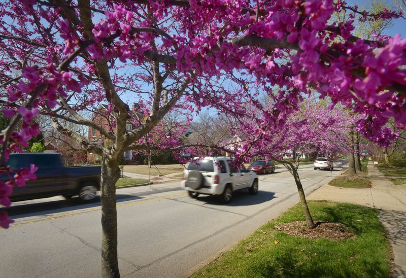 Vehicles pass Thursday, March 23, 2017, along West Central Avenue in Bentonville. 