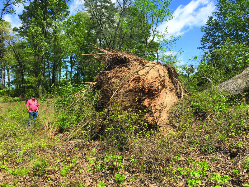 Storm spawns power outages, destruction | El Dorado News