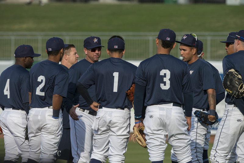Baseball Naturals roster combines experience with youth The Arkansas
