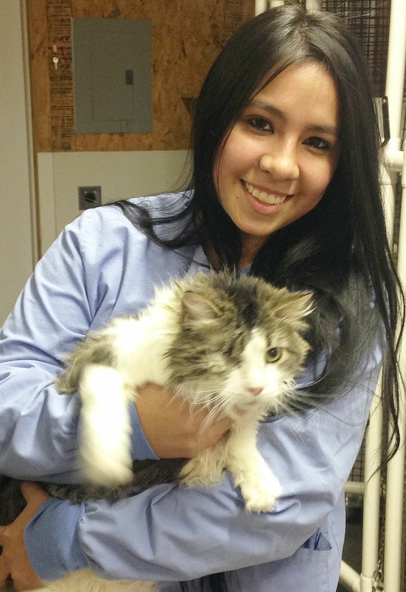Staff photograph by Sally Carroll Munoz, veterinarian assistant at Pea Ridge Veterinary Clinic, sees a variety of &#8220;patients&#8221; every day. This cat, who recently had surgery to remove her eye, has now found her home at the clinic.