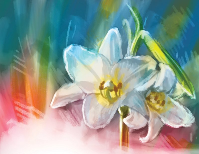 Arkansas Democrat-Gazette Easter lily illustration.