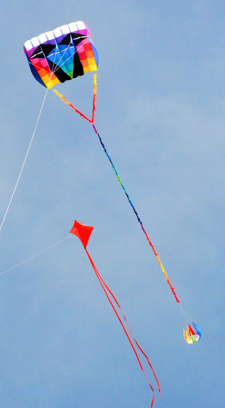 Janelle Jessen/Herald-Leader Bright colored kites danced over the Siloam Springs Municipal Airport on Saturday afternoon during the annual kite day, sponsored by the city Parks and Recreation Department.