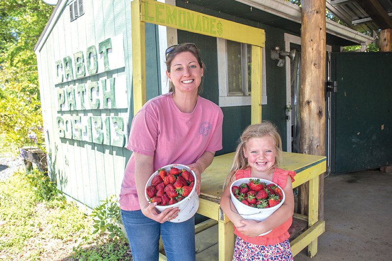 The Cabot Patch owner Summer High, left, and her daughter Scarlett show off some of the strawberries they have been growing. The Cabot Patch will be one of the three local strawberry growers featured at the Cabot Strawberry Festival this year.