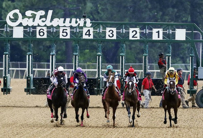 Horses break from the gate in Friday’s Apple Blossom Handicap. Stellar Wind (third from the right) won the race by 1¼ lengths over Terra Promessa with a time of 1:42.75 in the 1 1/16-mile race. Stellar Wind paid $2.80 to win, $2.20 to place and $2.10 to show.