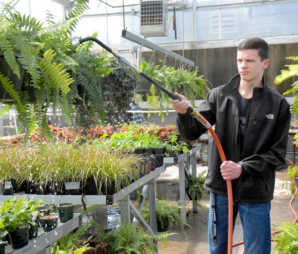 FFA annual plant sale