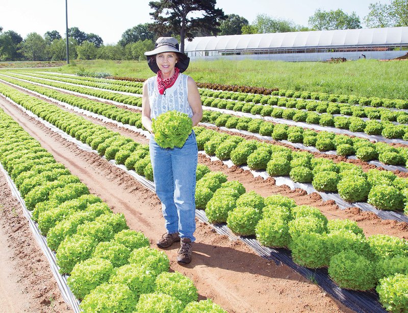 Ekko Barnhill shows off a head of lettuce she picked from her field at Barnhill Orchards, one of the vendors at the Cabot Farmers Market, which will open May 6 in the parking lot of Renew Community Church, 1122 S. Second St.