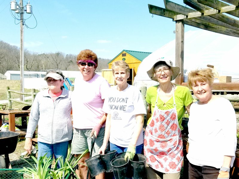 Photo submitted Bella Vista Garden Club members Mary Lou Frost, left, Alycyn Culbertson, Kathy Fourt, Cathy Downard and Anne Mathis prepare for the Spring Plant Sale.