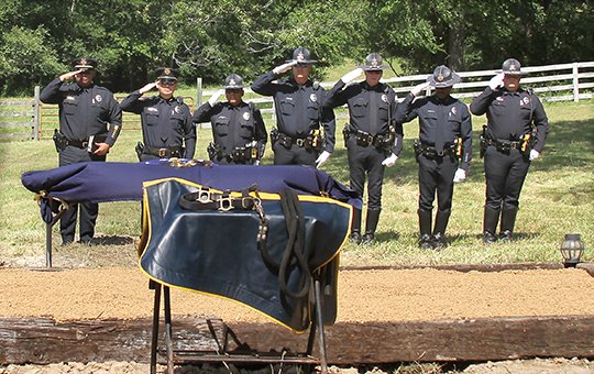 The Sentinel-Record/Max Bryan LAID TO REST: Past and present members of the Little Rock Police Department Mounted Patrol salute during the playing of taps at a memorial service for patrol horse Black Knight at Lake Hamilton Equine Associates in Royal on Tuesday.