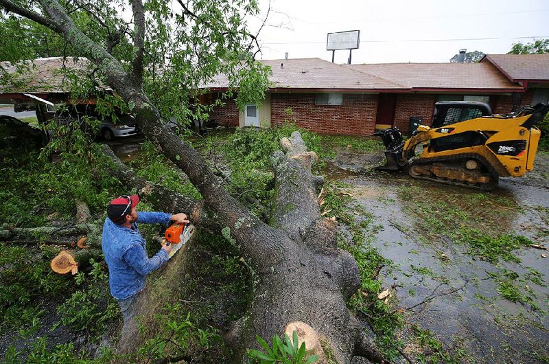 Kevin Honker, with Albert’s Curbside Tree Service, cuts up a large tree that fell into the Park Motel parking lot in Russellville after the tree was knocked down by storms Wednesday morning. The tree damaged a car and a small portion of the motel’s roof.