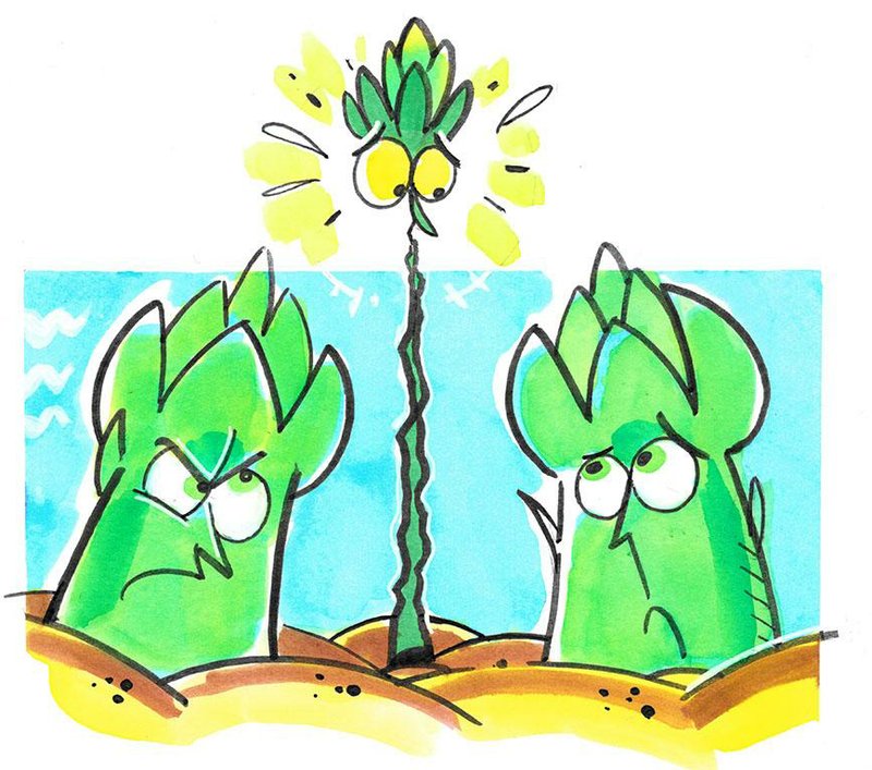 Arkansas Democrat-Gazette asparagus Illustration 
