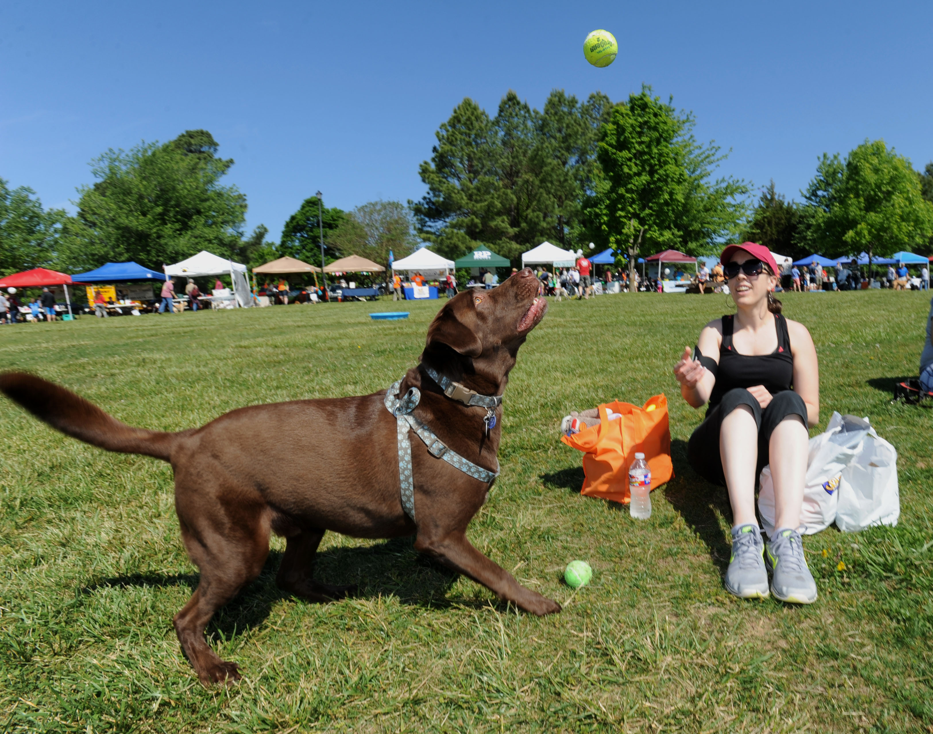 fayetteville humane society