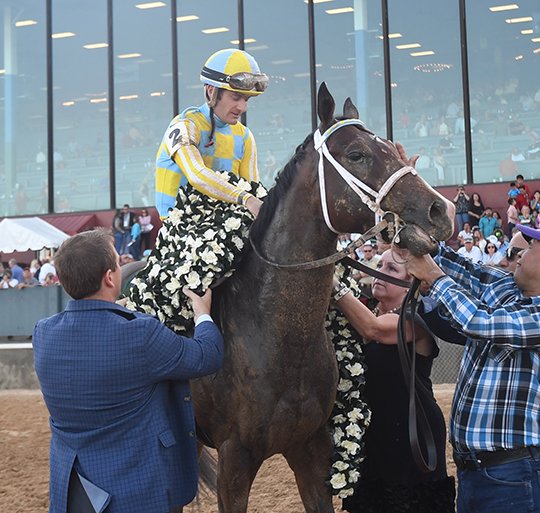 Derby 2017 5 horses to watch in 143rd Kentucky Derby