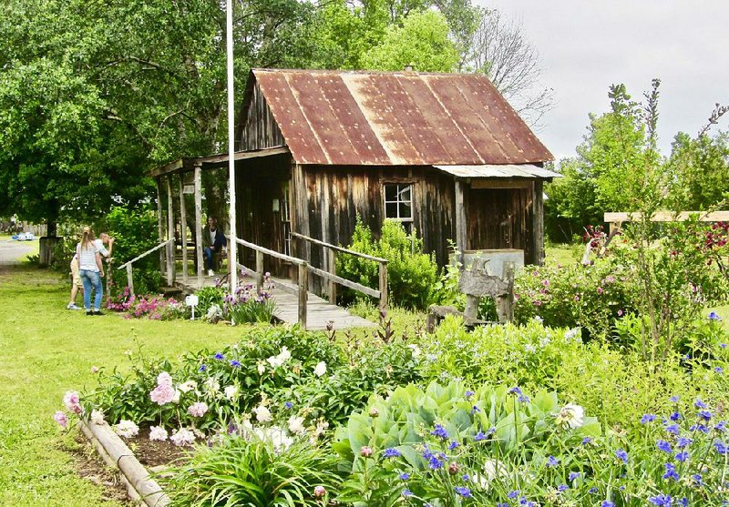 Flowers will add color to White County Historical Society’s Pioneer Village in Searcy during the Pioneer Village Spring Fest this weekend. 