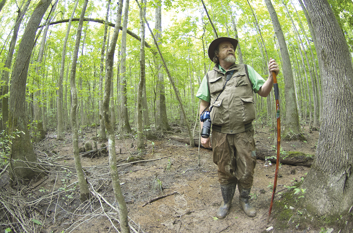Rediscovering the walking staff The Arkansas Democrat Gazette Arkansas Best News Source